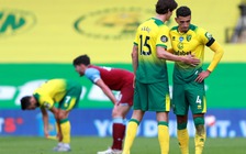 Norwich nhận suất rớt hạng đầu tiên ở Ngoại hạng Anh