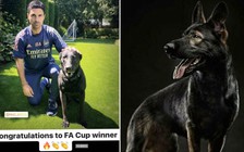 HLV Mikel Arteta có ‘chuyển nhượng bom tấn’ đầu tiên: Mua chó bảo vệ 20.000 bảng