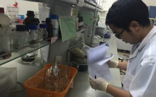 ĐH Quốc gia TP.HCM tuyển thẳng học sinh giỏi 115 trường phổ thông