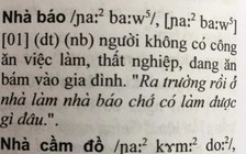 'Nhà báo là người không có công ăn việc làm': Chuyên gia ngôn ngữ học nói gì?