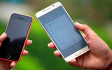 Trung Quốc, Mỹ, Ấn Độ… là các thị trường nhập điện thoại lớn của Việt Nam