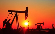 Giá dầu Brent 'nhảy vọt' 20%, hồi hộp chờ điều chỉnh giá xăng chiều nay