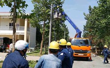 Điện lực TP.HCM ‘trồng’ gấp 20 cột điện phục vụ bệnh viện dã chiến chống Corona