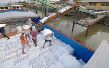 Tổng cục Hải quan cập nhật thông tin xuất khẩu gạo 60 phút/lần