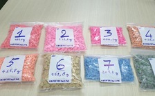 Buôn lậu từ lòng heo đến ma túy, dược liệu…