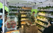 'Đi chợ hộ' quá tải