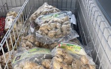 Dịch Covid-19, gừng đông lạnh Việt sang Úc tăng 1.350%