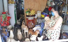 Nuôi hàng chục con chó giữa Sài Gòn, hàng xóm chịu không thấu: Phường vận động chia bớt