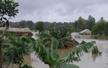 Cảnh báo lũ 'cấp độ 1' trên sông Cái Phan Thiết