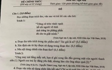 Tranh cãi 'nảy lửa' đề thi lớp 10: Cho điểm tuyệt đối cả câu đơn và ghép