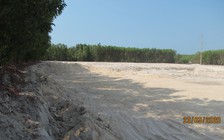 Xử lý nghiêm nạn 'cát tặc, cát lậu' mà Báo Thanh Niên phản ánh