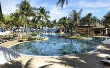 Hậu Covid-19, 'không nên chỉ chú trọng thị trường Trung Quốc'