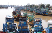 Phong tỏa cảng cá Phan Thiết, tàu cá nào được ra vào cảng lúc này?