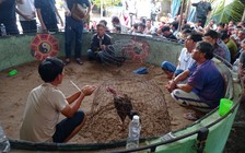 Bình Thuận: Cảnh sát bao vây trường gà 'khủng', bắt giữ khoảng 70 người liên quan