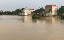 Đê tả Bùi bị đe dọa nghiêm trọng, Hà Nội chuẩn bị tình huống di dời dân