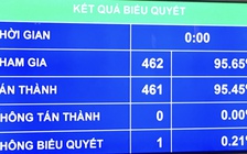 Quốc hội phê chuẩn EVFTA và EVIPA với số phiếu gần như tuyệt đối