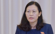 Chủ nhiệm Ủy ban Tư pháp: Xử lý nghiêm đại úy công an náo loạn sân bay