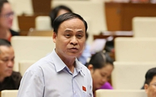 Đại biểu Quốc hội: 'Thành công của Chính phủ tạo nên sắc hồng của đất nước'