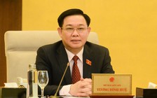 Đề xuất giảm thuế tiêu thụ đặc biệt 5 năm với xe điện