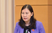 'Tại sao Quốc hội giám sát 'rất đầy đặn' rồi mà cháy không giảm'