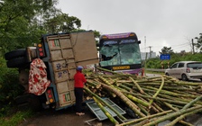 Tai nạn giao thông, tài xế đánh lái tránh lao xuống vực