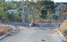 Bình Phước: Một người đàn ông chết cháy trong đêm