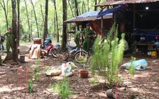 Đâm chết bạn nhậu vì bị đánh 'phủ đầu'