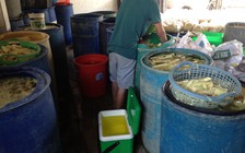 Đặc biệt trên báo in ngày 17.1.2016