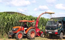 Đặc biệt trên báo in ngày 25.1.2016