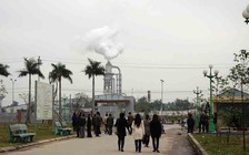 Khổ vì nhà máy gỗ