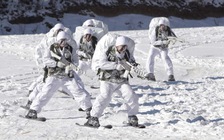 Hàn Quốc lập đơn vị đột kích Triều Tiên