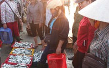 Nước biển ở 4 tỉnh miền Trung an toàn