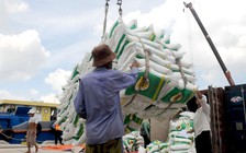 Được giá cũng lo