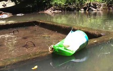 Ô nhiễm nguồn nước vì dân rửa chai thuốc bảo vệ thực vật