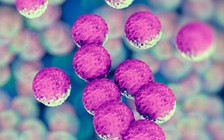 Những cách tự bảo vệ mình khỏi siêu vi khuẩn kháng thuốc