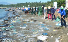 Nhiều tỉnh, thành ven biển mở chiến dịch 'Hãy làm sạch biển'