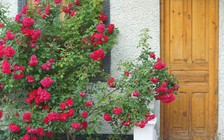 Cách giữ người mát mẻ trong mùa hè oi bức