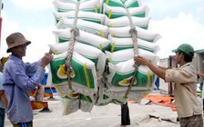 Khởi tố Phó tổng giám đốc Công ty lương thực miền Nam