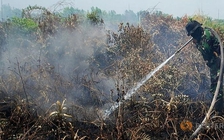 Indonesia ban bố tình trạng khẩn cấp