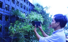 Tự tạo cơ hội: Phất lên với nghề làm vườn tường