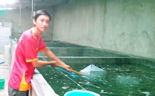 Tự tạo cơ hội: Làm giàu nhờ ương cua giống