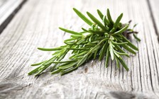 Những thực phẩm giúp giảm mùi cơ thể