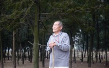 Cụ ông U.90 nghĩa hiệp lặng lẽ trồng phi lao chắn sóng