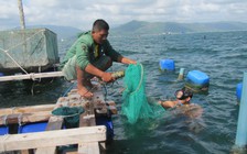 Làm giàu nhờ vốn vay