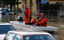 Người gốc Việt hứng lũ ở San Jose