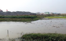 Thi công đường khiến đất trồng lúa nhiễm mặn