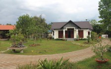 Sẽ xử phạt và yêu cầu trả lại nguyên trạng