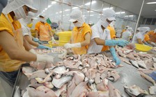 Tìm đường xuất khẩu chính ngạch vào Trung Quốc