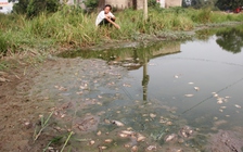 Khu công nghiệp chưa có nhà máy xử lý nước thải