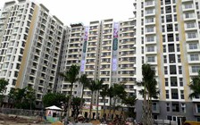 Tranh chấp tại chung cư gia tăng